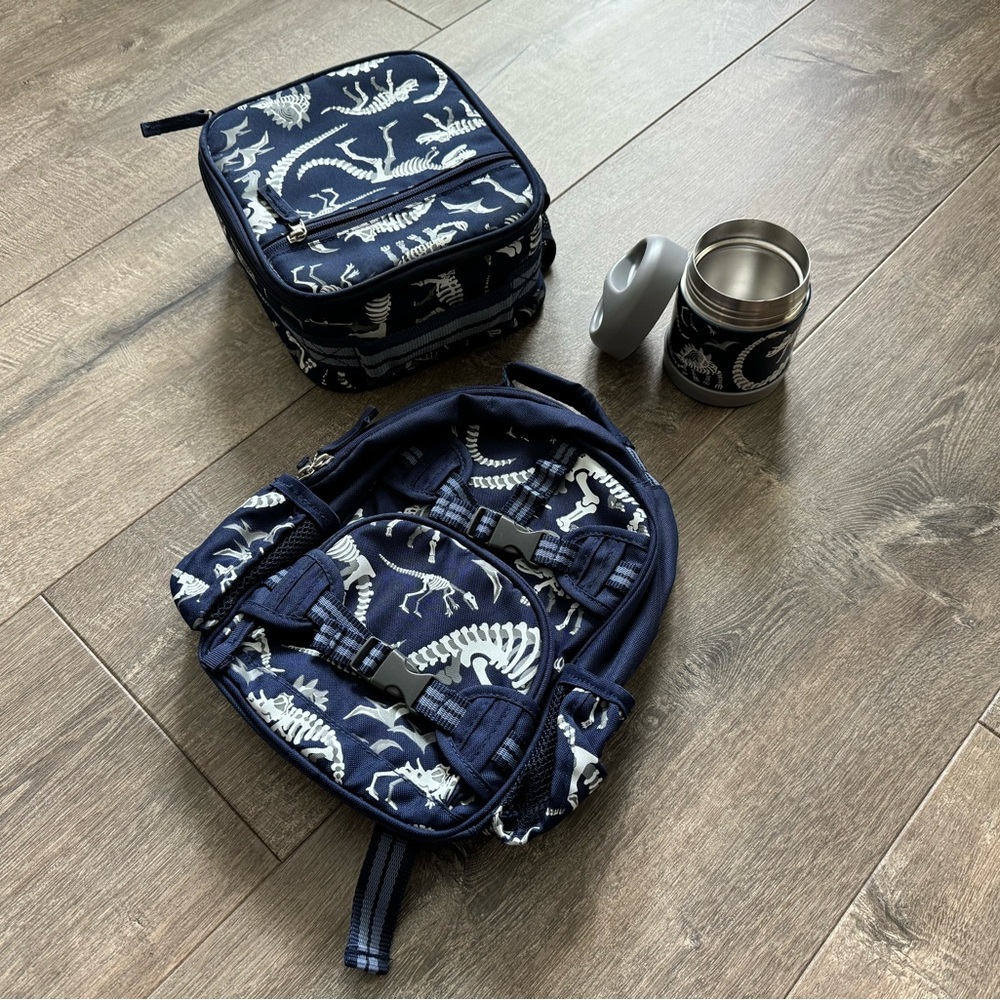 Pottery Barn Kids Mini Backpack and Lunchbox